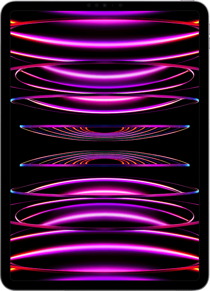 Apple iPad Pro (2022) 12,9" WiFi + Cellular 1TB Space Grau