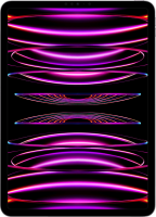 Apple iPad Pro (2022) 12,9" WiFi + Cellular 1TB...