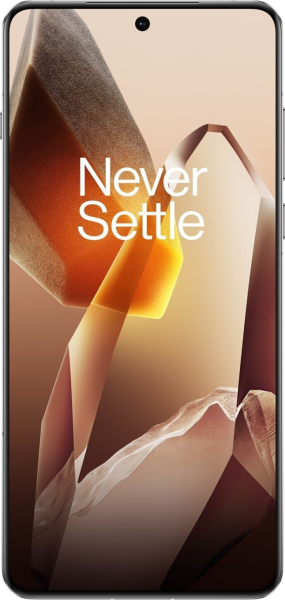 OnePlus 13
